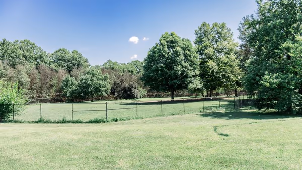 Mount Jefferson Park Off Leash Dog Area photo 1